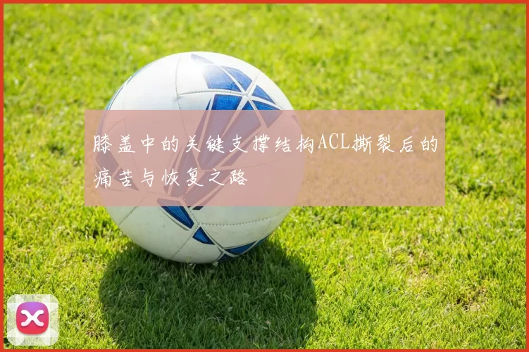 膝盖中的关键支撑结构ACL撕裂后的痛苦与恢复之路